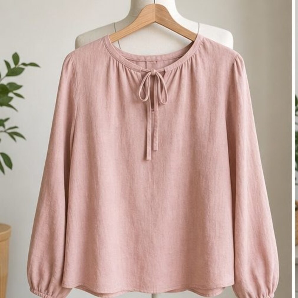 Blush Pleated Blouse